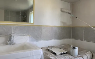 Quelle peinture choisir pour une salle de bain ?