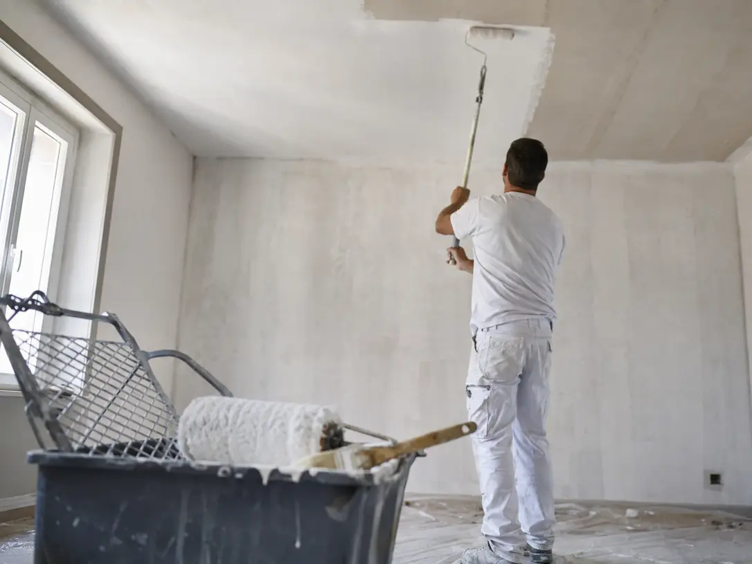 Mise en peinture soignée des murs et plafonds d’un logement